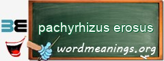 WordMeaning blackboard for pachyrhizus erosus